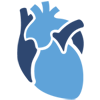 strive cardiology - Home